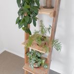 Reclaimed Timber Leaning Shelves